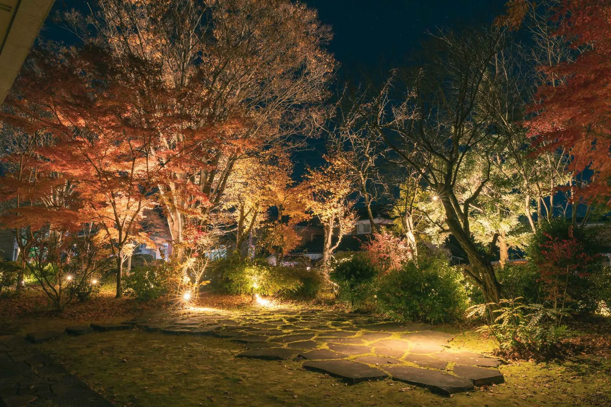 オアシス公園光の演出の写真